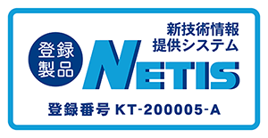 NETIS：KT-200005-A
