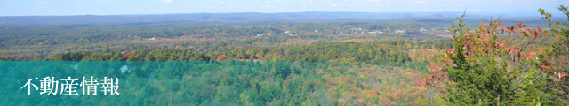 不動産情報
