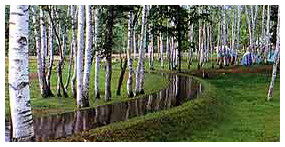 環境・品質・安全