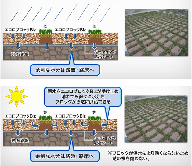 レインボーエコロブロックBizを用いた緑化