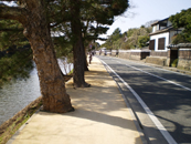 植生に配慮した土系舗装