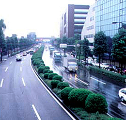 Ameni-Phalt S series