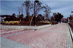 Interlocking Block Pavement