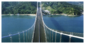 株主・株式情報