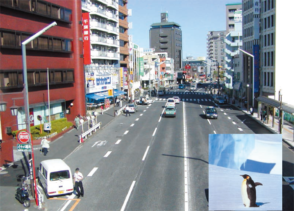 クールファルト・施工例 クールファルト・施工例