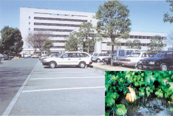 レインボーポラクリート・施工例 レインボーポラクリート・施工例