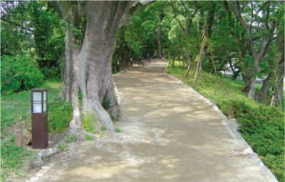 マグフォームミック・施工例 マグフォームミック・施工例